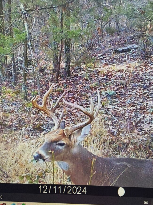 000 N Highway 41, Cecil, AR 72930 - photo 7