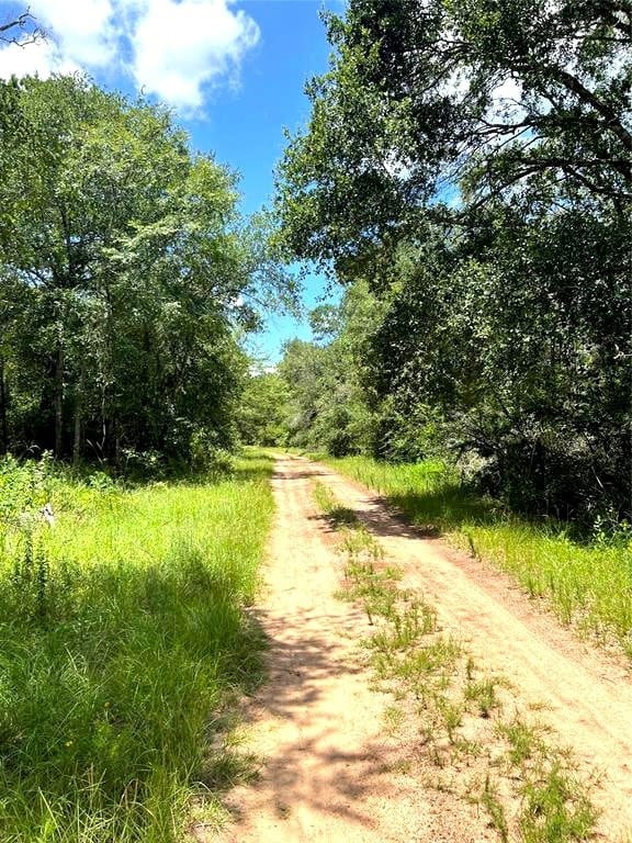 0 Squirrel Dr unit 75090496, Hempstead, TX 77445 - photo 5