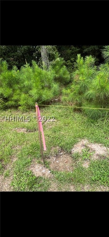 Front left corner of the lot.