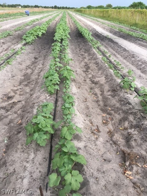 0 3rd Rd unit 218054543, Labelle, FL 33935 - photo 4