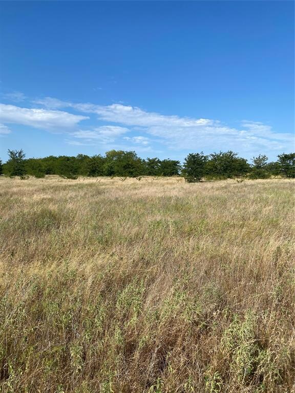 Lot 3 TBD County Rd 4306, Greenville, TX 75401 - photo 7
