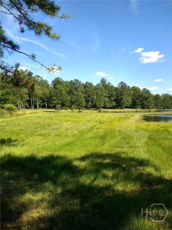 680 Porter's Landing Rd unit LOT 1, Clyo, GA 31303 - photo 5