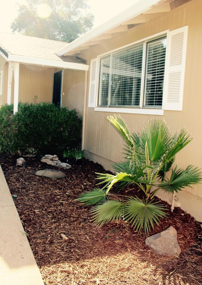 Front garden area