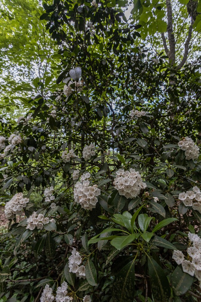 3L6A0581_2048px