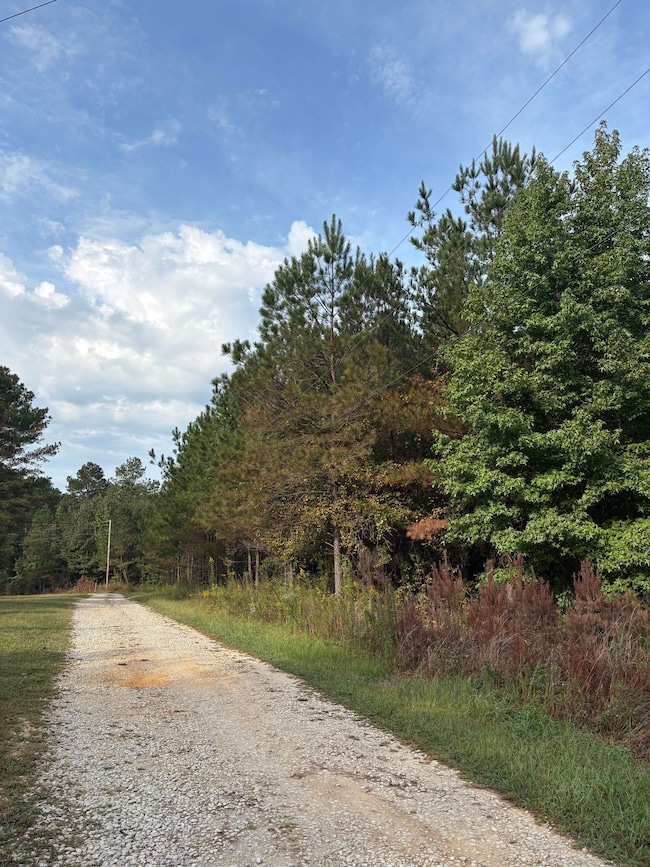 Ita Lee Rd, Guntown, MS 38849 - photo 2