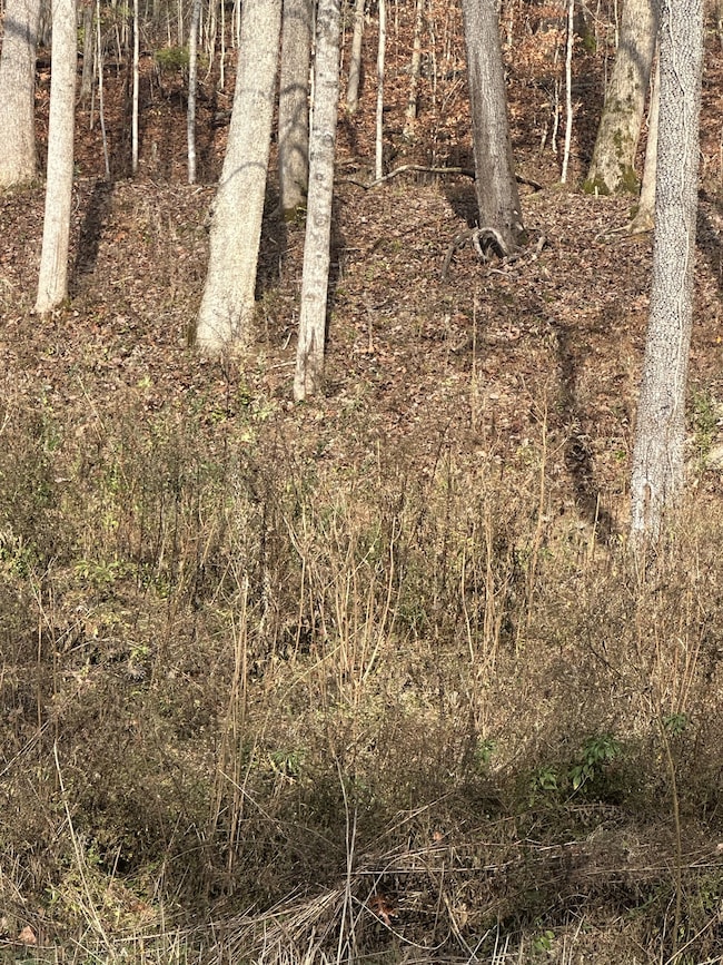 0 Mccrory Ln unit RTC3050258, Nashville, TN 37221 - photo 5