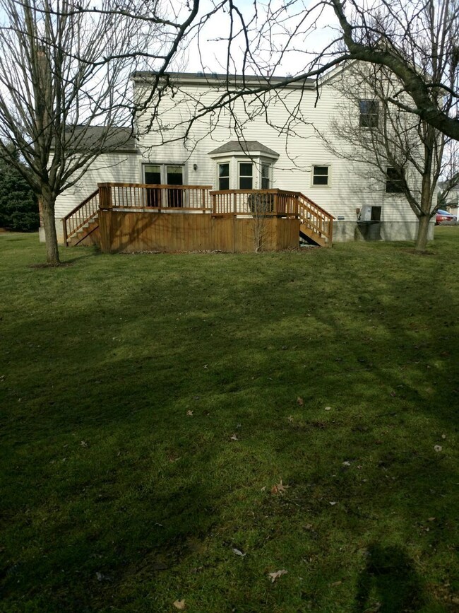 2-Back View