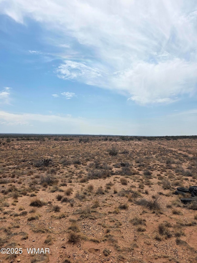 8317 Buckskin Trail, Snowflake, AZ 85937 - photo 5