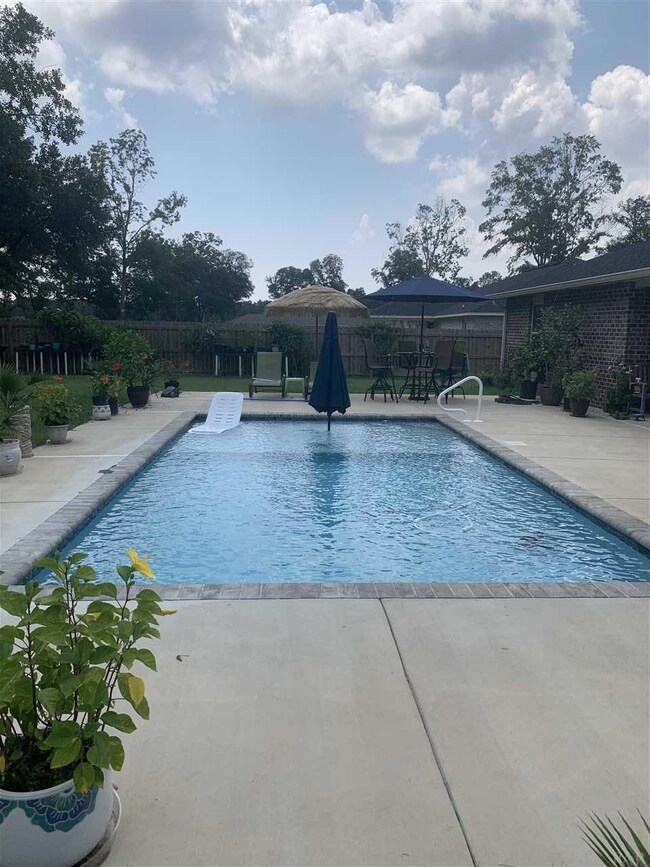 Gunite, salt water designed by Gulf Breeze Pools