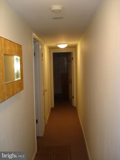 2005 Kalorama Rd NW unit 1, Washington, DC 20009 - photo 6