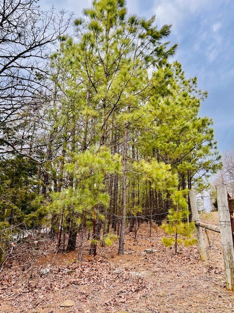 17456 Bethlehem Wc 237 Rd, Winslow, AR 72959 - photo 7