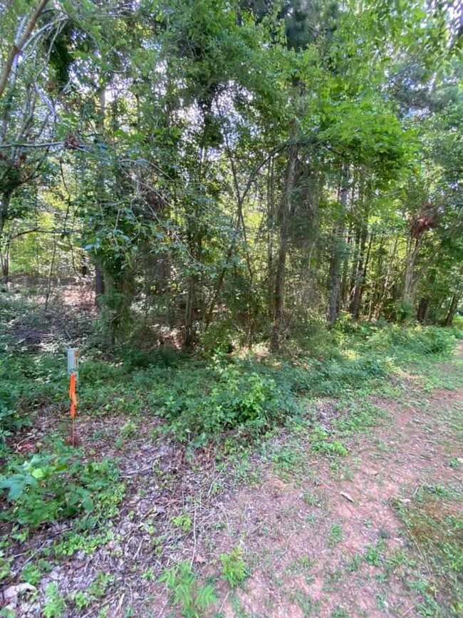 6675 Briarwood Dr, Oxford, NC 27565 - photo 5