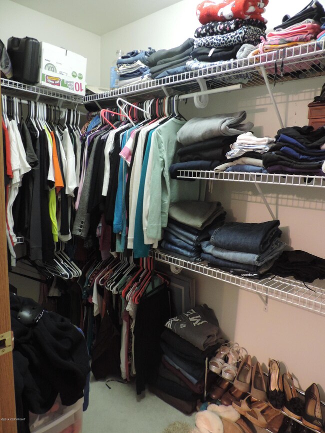 Large walk in closet in master