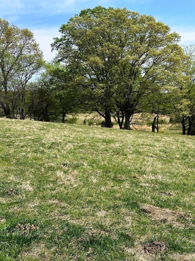 0 Marble Hill Rd, Poplar Bluff, MO 63901 - photo 2