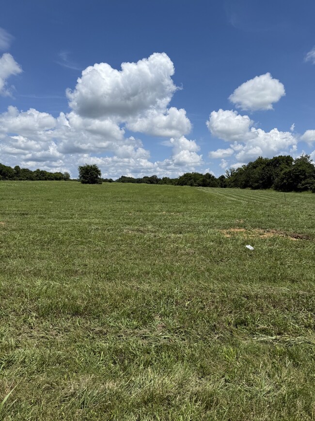 0 Nashville Hwy unit RTC2988524, Chapel Hill, TN 37034 - photo 3