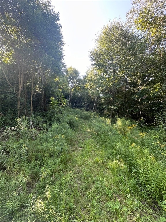 Lot 1 Brimfield Rd, Warren, MA 01083 - photo 5
