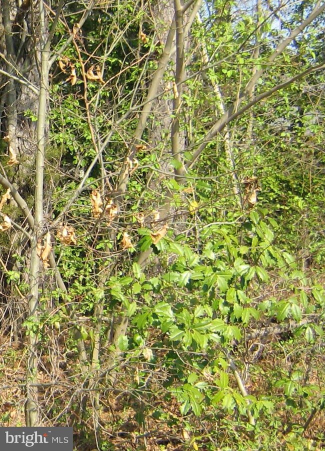 0 Brickhouse unit 1000050219, King George, VA 22485 - photo 2