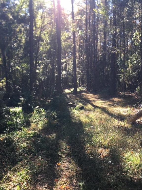 tbd Louisiana 438, Franklinton, LA 70438 - photo 5