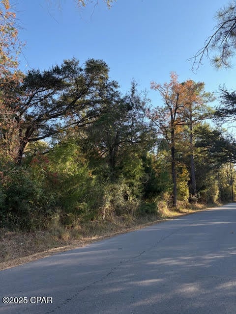 3389 Gainer Rd, Chipley, FL 32428 - photo 3