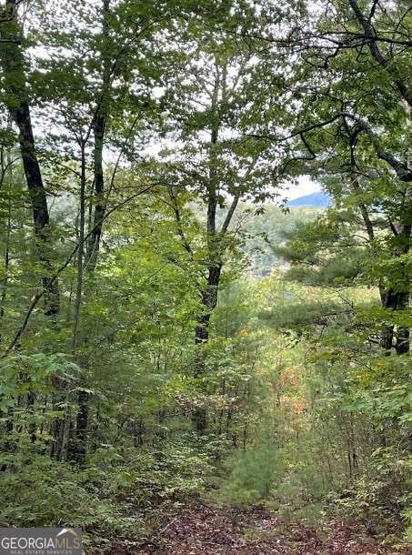 LOT 7 Sequoia Hills Ln unit 7, Clayton, GA 30525 - photo 2