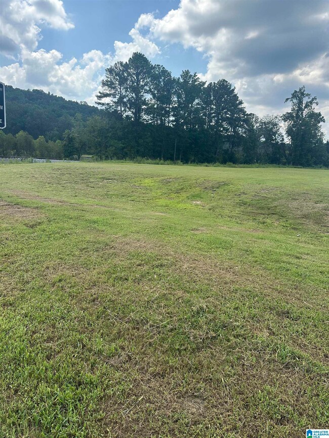 6690 B Gadsden Hwy, Trussville, AL 35173 - photo 2