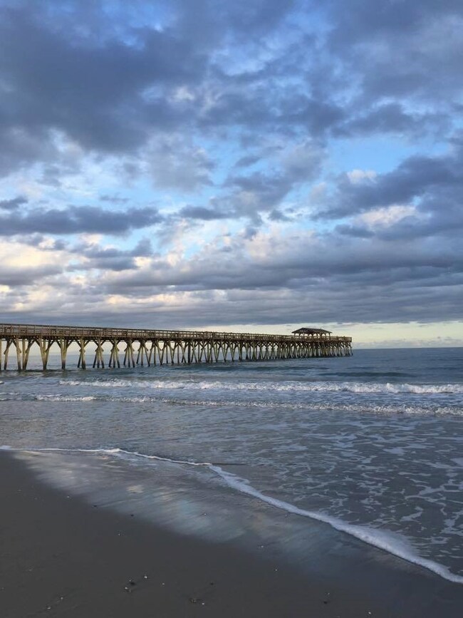 2904 Green Pond Cir, Conway, SC 29527 - photo 5