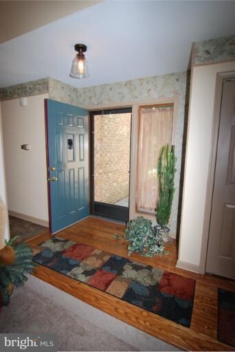 5713 Etzler Rd, Frederick, MD 21702 - photo 5