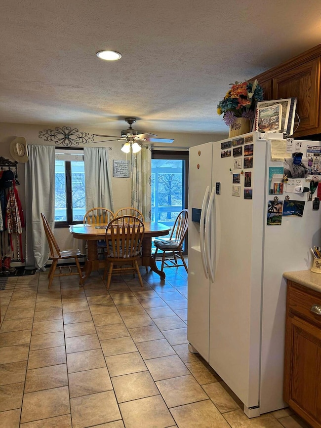 14776 State Highway Ff, Ava, MO 65608 - photo 4