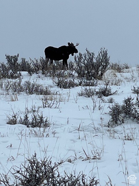 564 W Cisco Run N unit 44, Garden City, UT 84028 - photo 6