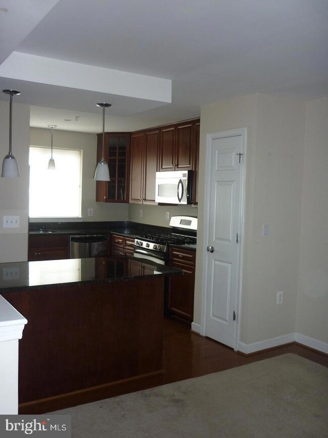 4069 S Four Mile Run Dr unit 302, Arlington, VA 22204 - photo 3