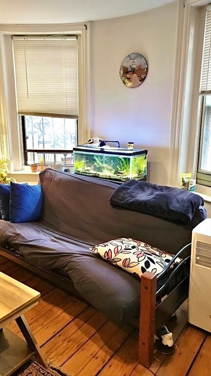 47 E Springfield St unit B, Boston, MA 02118 - photo 3