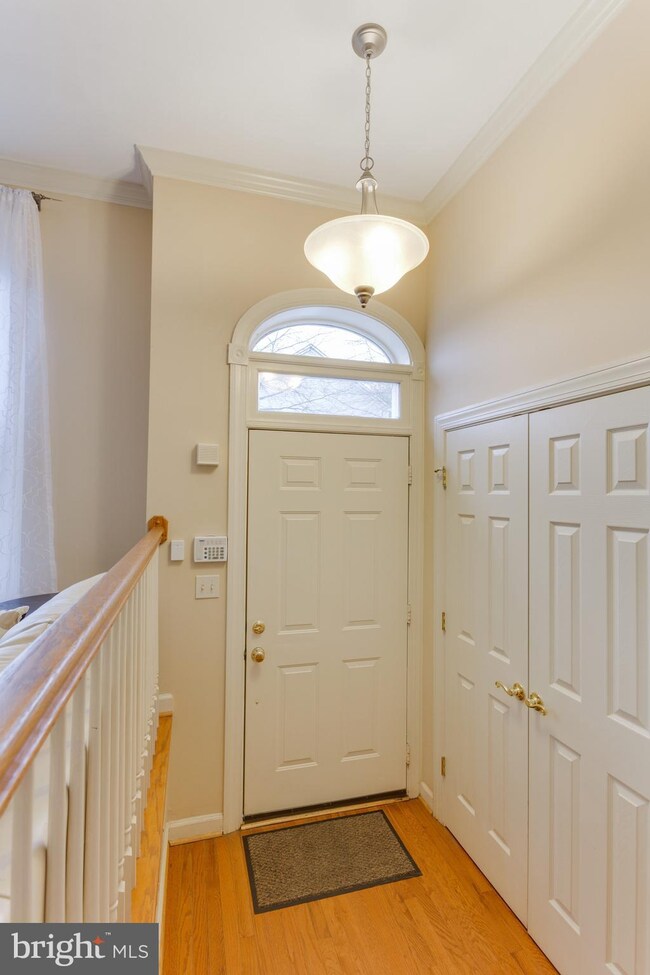 3607 Ransom Place, Alexandria, VA 22306 - photo 4