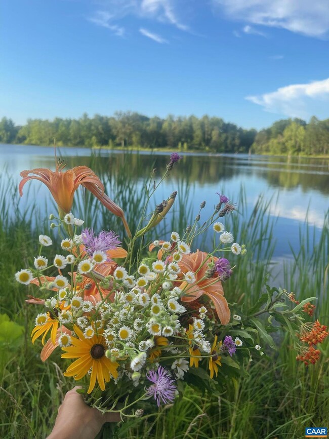 0 Randolph Creek Rd unit 668409, New Canton, VA 23123 - photo 6