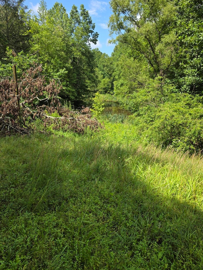 0 Buell Ln, Speedwell, TN 37870 - photo 6