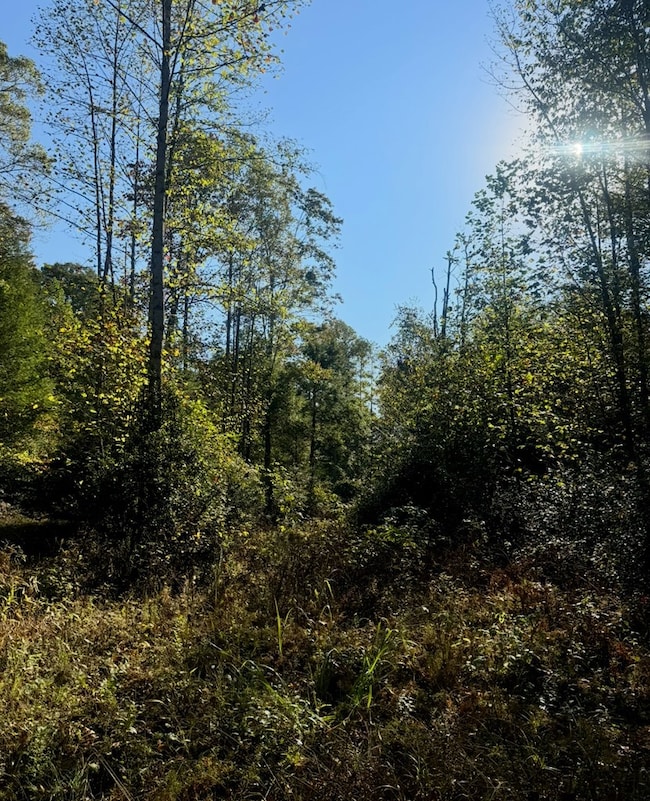 00 Elliott Rd, Hico, WV 25854 - photo 2