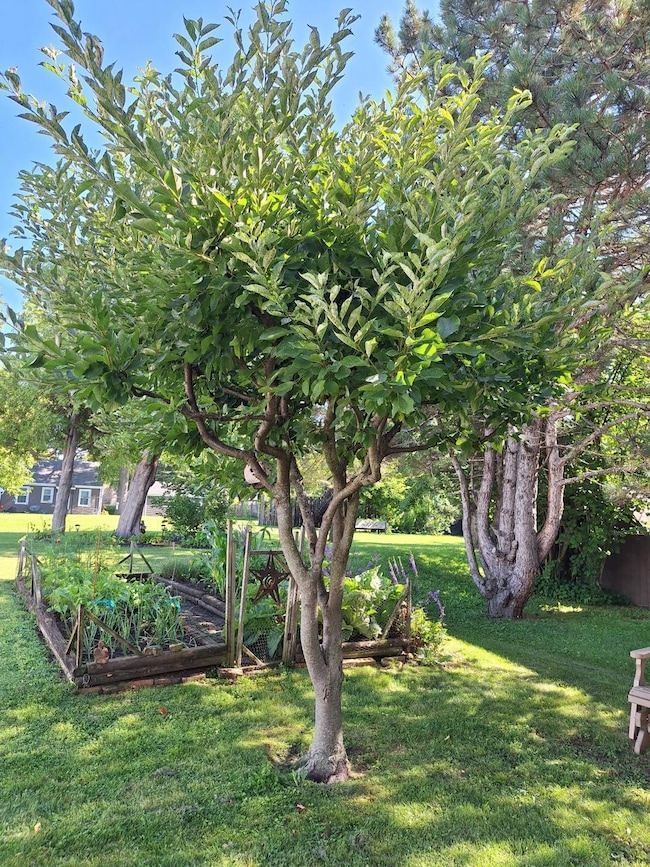 521 Center St, Kewaunee, WI 54216 - photo 7