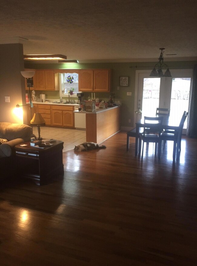 Kitchen Diningroom Area