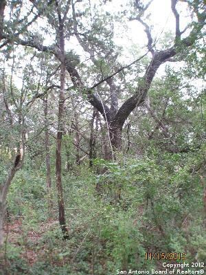 11122 Windy Willows, Helotes, TX 78023 - photo 4