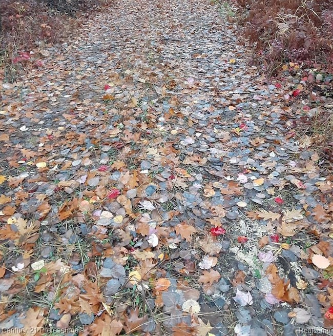 6710 Chippewa Trail, Rogers Township, MI 49779 - photo 2