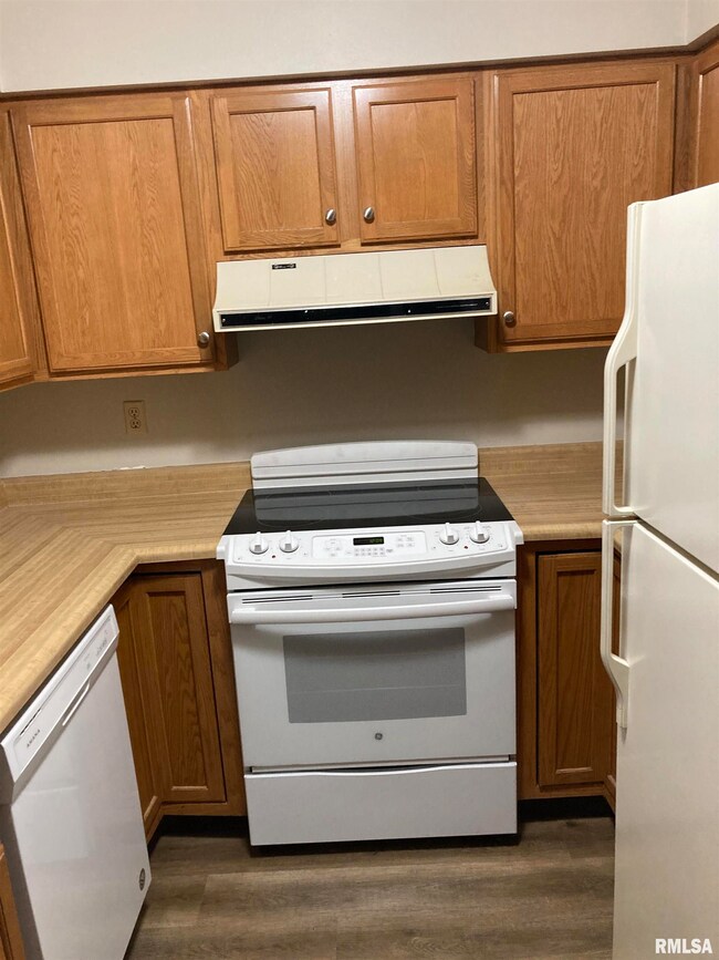 100 Graze Ave unit 5, Dunlap, IL 61525 - photo 3