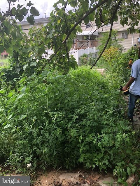 1346 N Fremont Ave, Baltimore, MD 21217 - photo 7