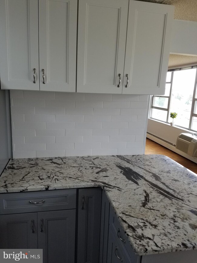 Radnor House unit 903, Bryn Mawr, PA 19010 - photo 5