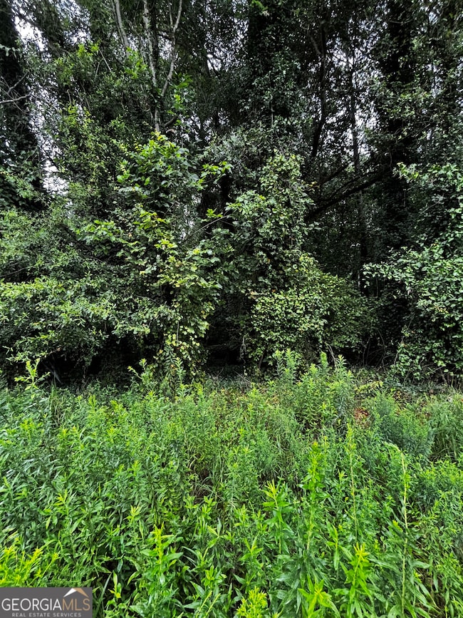 8214 Freestone Dr, Jonesboro, GA 30236 - photo 4