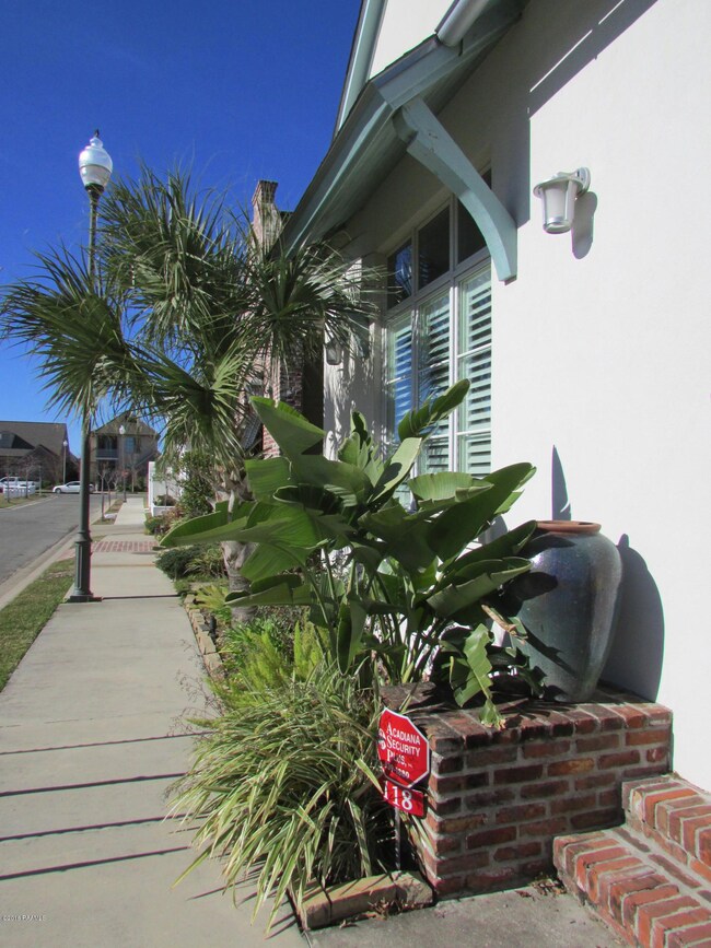 Front Plantings