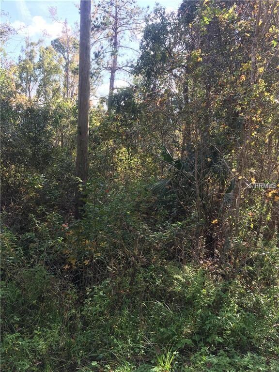 Property Line from the East side of the subject pr