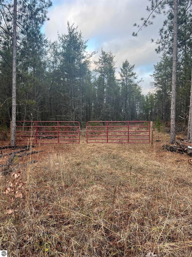 2214 E 56th St, Chase, MI 49623 - photo 7