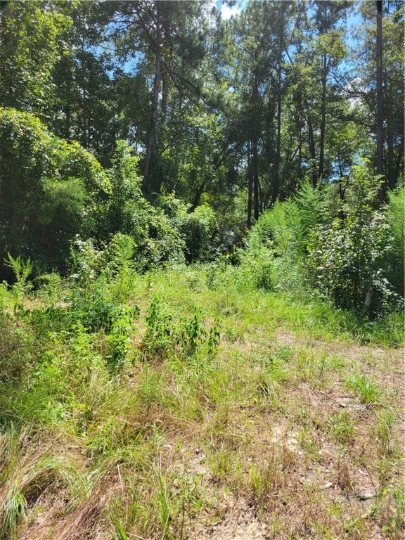 123 Winn Clay Dr, Waycross, GA 31503 - photo 3