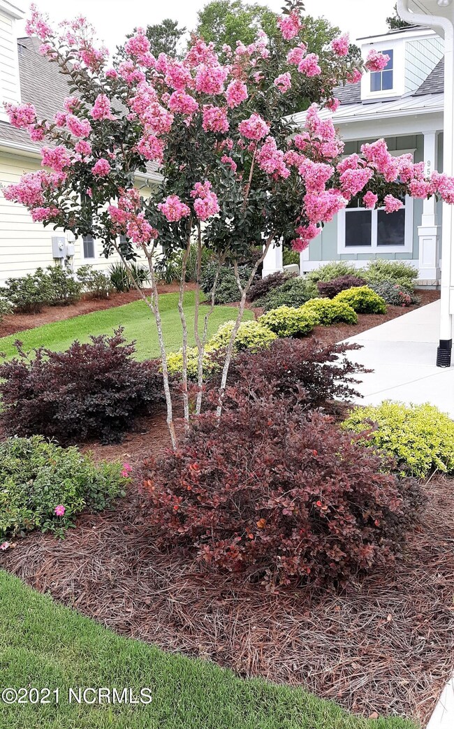 953 Tannin Bark Cir, Leland, NC 28451 - photo 2