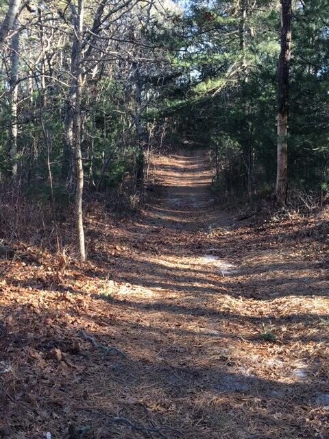 146 Central Ave, East Falmouth, MA 02536 - photo 5