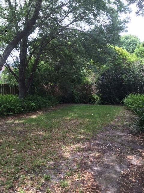 Backyard 2